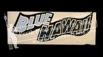 25-"Blue Hawaii" Sign