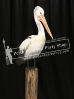 18-Pelican on Post