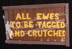 9-"ALL EWES TO BE TAGGED AND CRUTCHED" sign